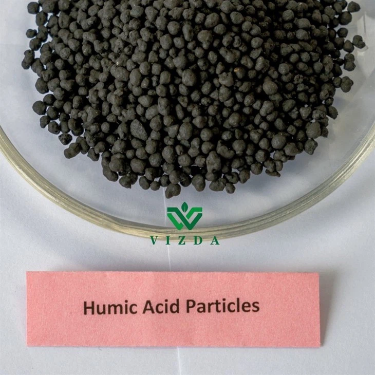 Humic Acid 45% Organic Fertilizer