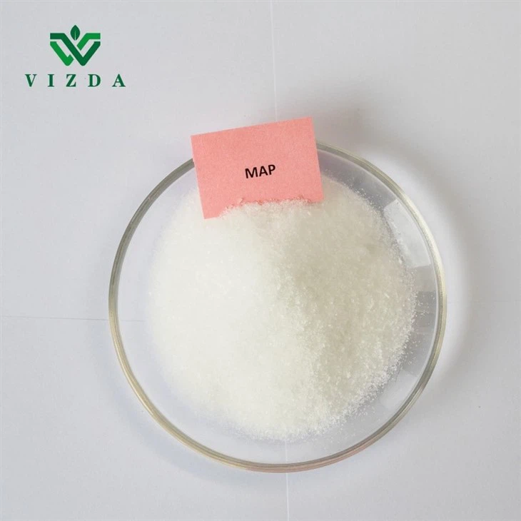 Monoammonium Phosphate (MAP) Crystal