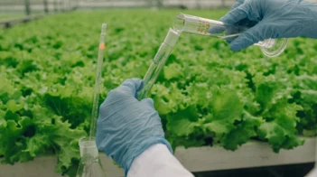Průmysl hnojiv se posouvá směrem k integrovaným agronomickým systémům, daleko...